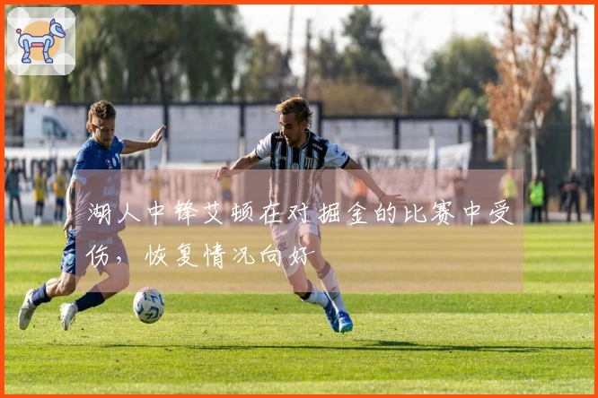 湖人中锋艾顿在对掘金的比赛中受伤，恢复情况向好