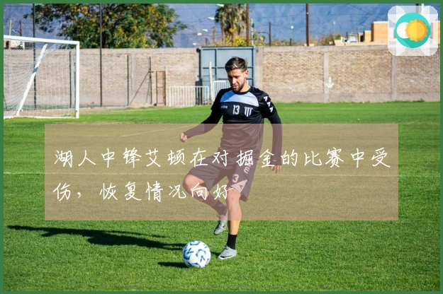 湖人中锋艾顿在对掘金的比赛中受伤，恢复情况向好